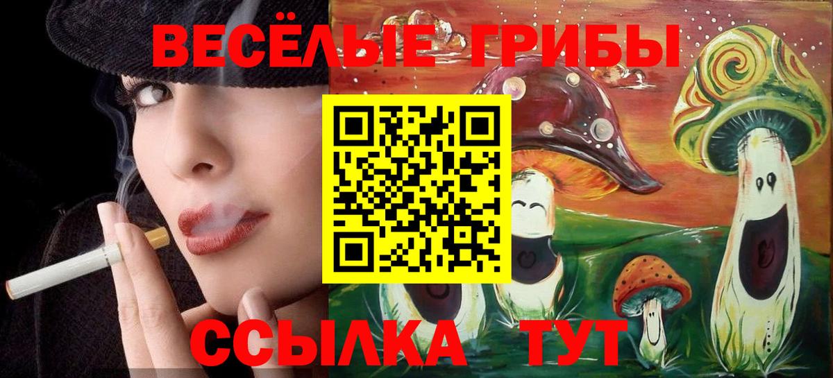 Реж  Галлюциногенные грибы Cubensis  Вход с VPN  Галлюциногенные грибы Psilocybine cubensis 