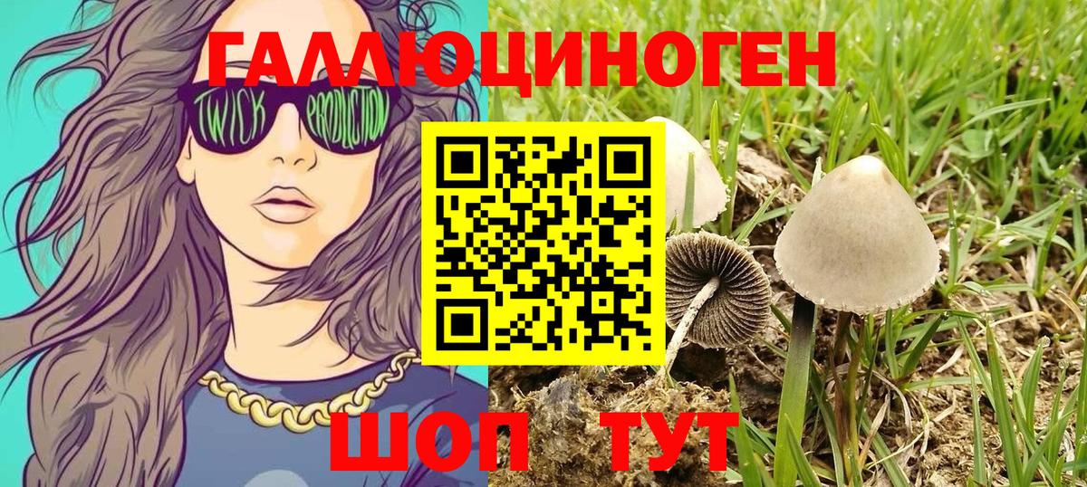 Псилоцибиновые грибы MAGIC MUSHROOMS Реж