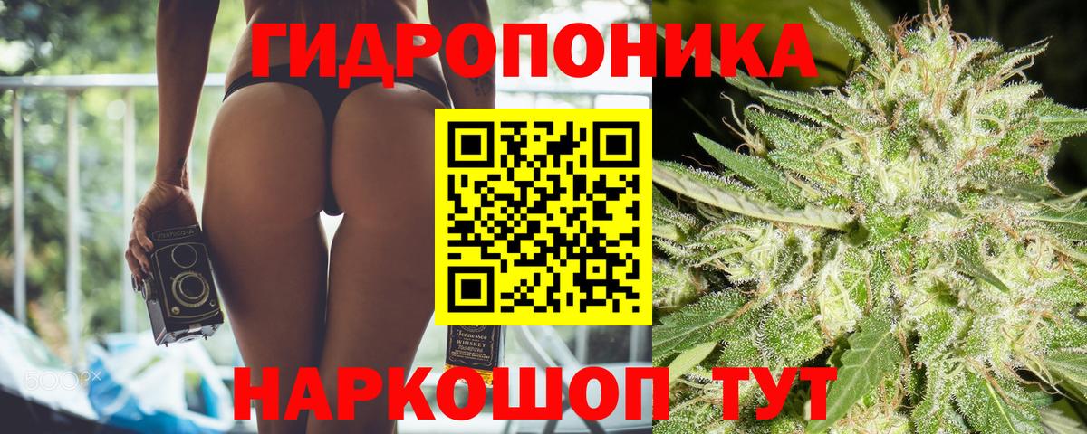 Конопля THC 21%  Вход с VPN  Конопля план  Реж 